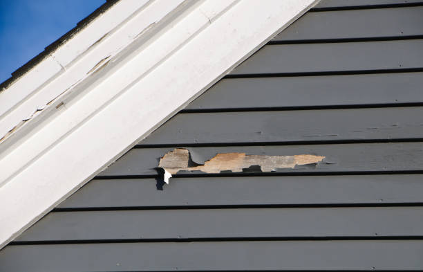 Best Wood Siding Installation  in Baker, LA